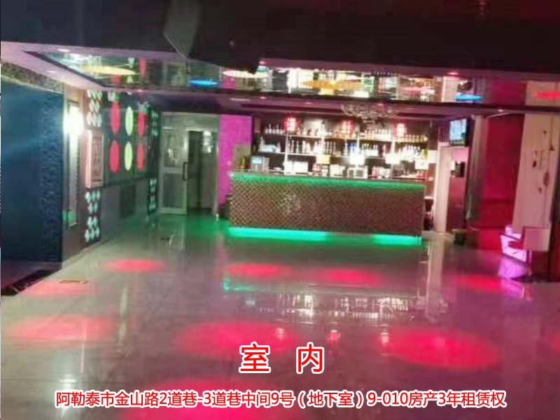 新疆阿勒泰市金山路2道巷-3道巷中间9号（地下室）9-010房产3年租赁权