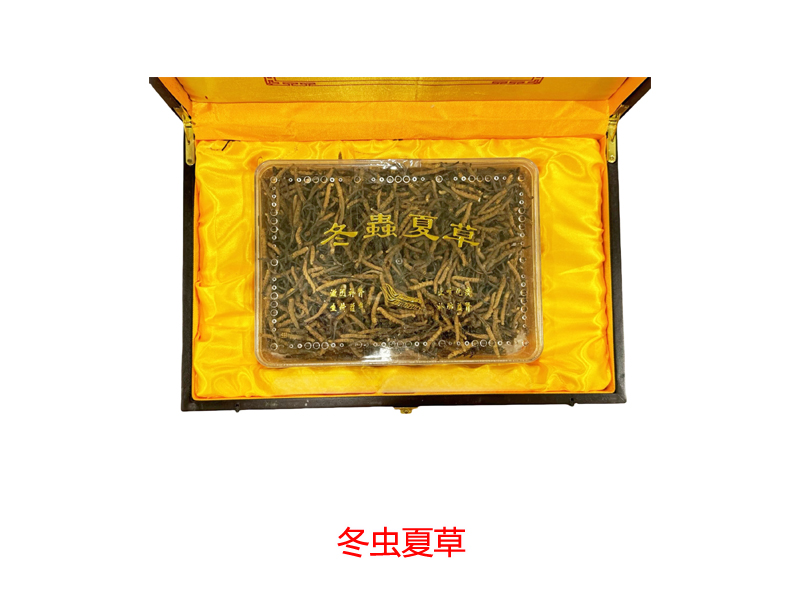 4袋！西藏冬虫夏草 粉末30✖️4コウモリガ幼虫寄生菌