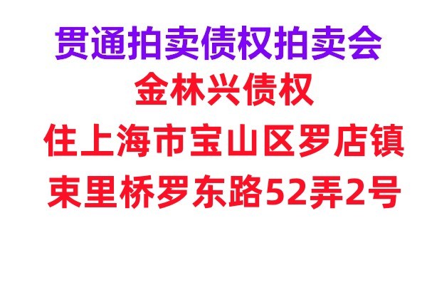 【贯通拍卖651】金林兴债权