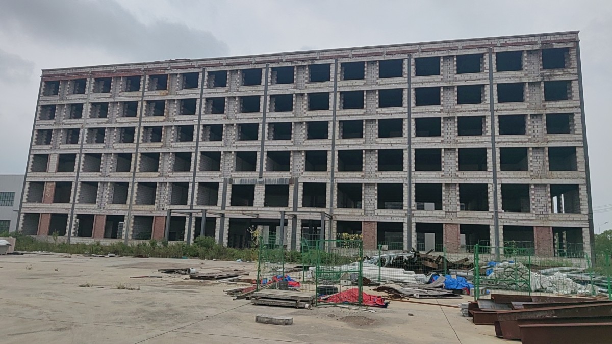 东至县大渡口镇318国道以南、仙寓山路以西一处土地使用权、1#生产车间（无证）、2#生产车间（无证）（其中有一处无尘净化车间在内）、其他附属物及机器设备